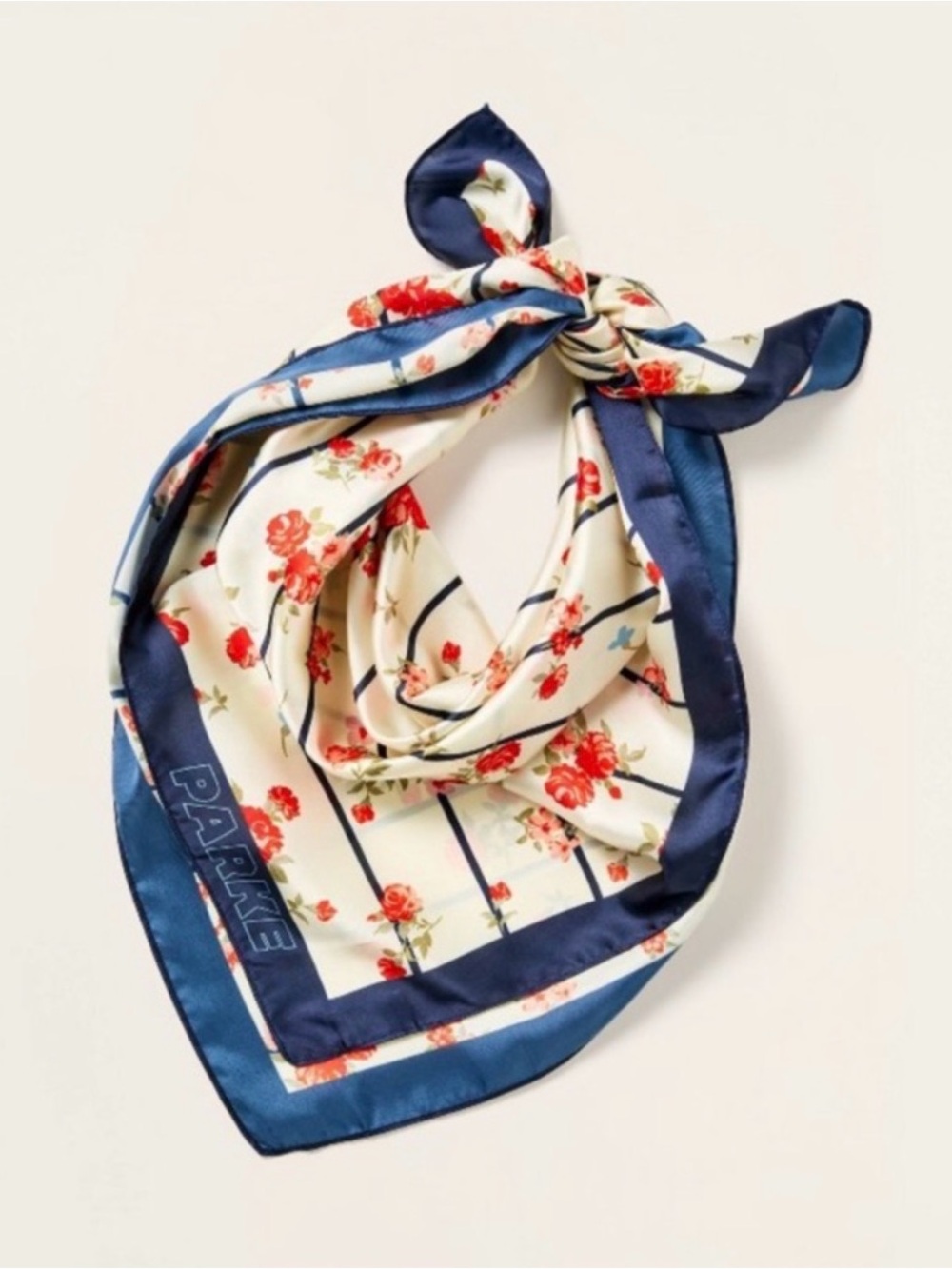 NWT Parke x Target Floral Scarf